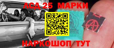 гидропоника Новозыбков