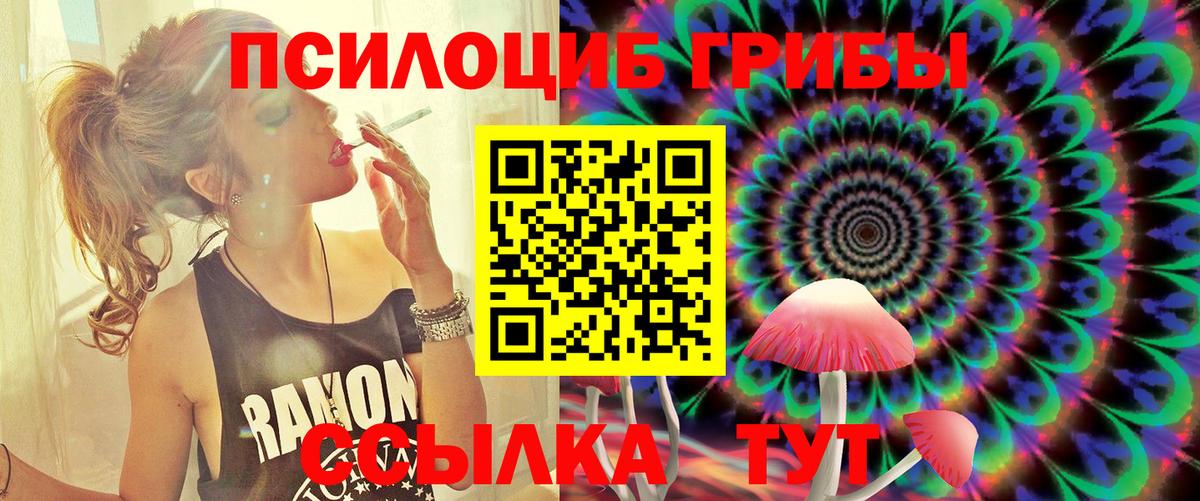 Псилоцибиновые грибы Psilocybe  Вход с VPN  Сызрань 