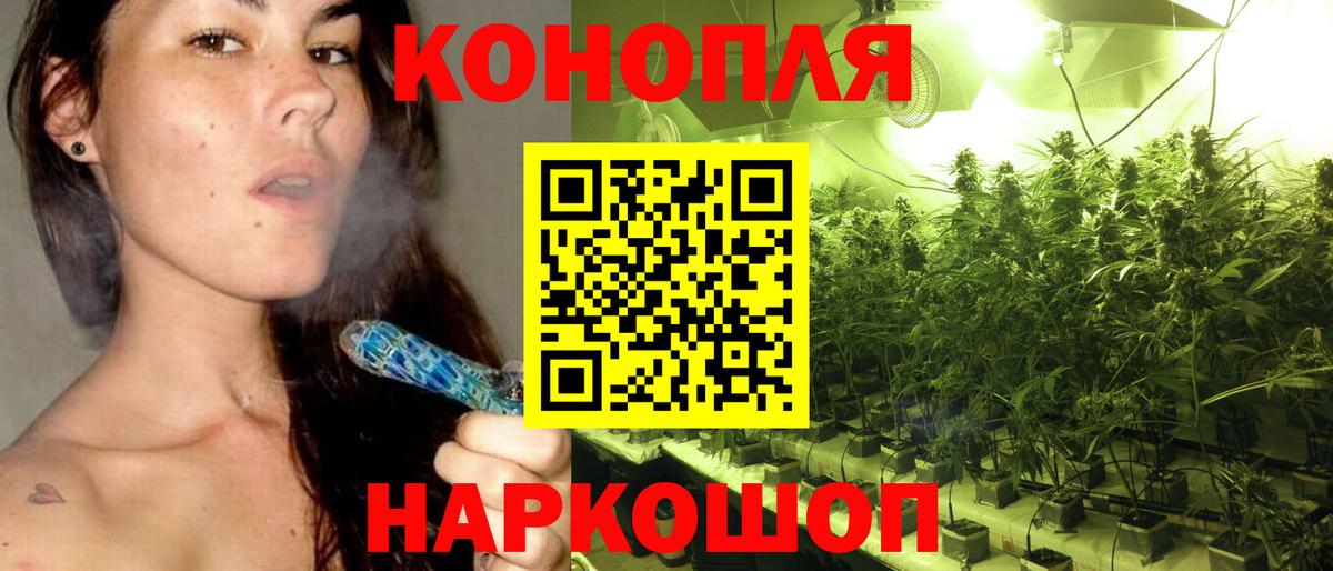 Каннабис сатива Сызрань